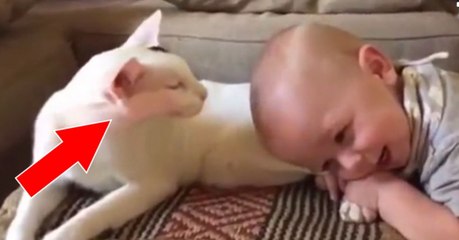 This Cat Has The Most Beautiful Relationship With Her Human Baby Brother