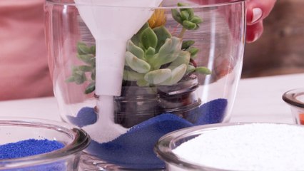 How To Make Your Own Terrarium