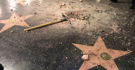 Footage Emerges Of Man Violently Smashing Up Trump's Hollywood Star