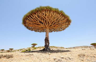 This Island Is Known As 'The Most Alien Place On Earth' And Here's Why