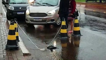 Colisão de trânsito registrada na Avenida Brasil em Cascavel