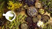 The Benefits Of Using Herbal Medicine