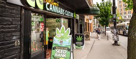 Cannabis Store Worker Fights Off Bear Spray Wielding Robbers With A Bong