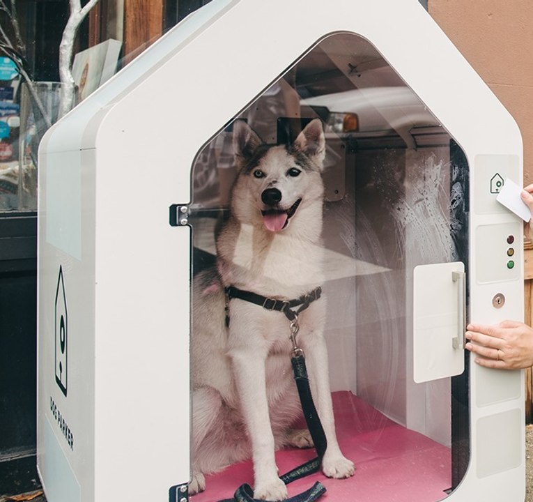 In New York, People Are Leaving Their Dogs In Boxes In The Streets