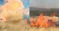 The Shocking Moment Gender Reveal Party Causes A Wildfire Resulting In £6m Worth Of Damage