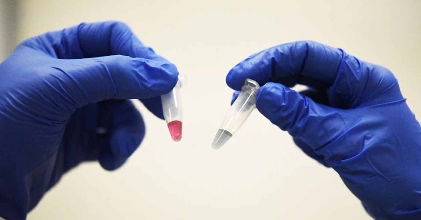 This Simple Blood Test Could Detect Every Type...