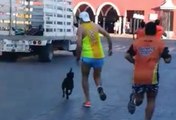 This Marathon Ended In Turmoil After Runner Savagely Attacked Dog