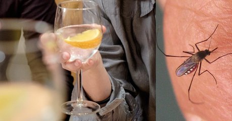 Did You Know That This Drink Will Naturally Repel Mosquitoes?