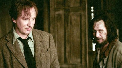 This Heartbreaking Sirius And Lupin Theory Could Change Everything For Harry Potter Fans
