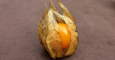 Meet The Earth Cherry - The New Superfruit With Properties Scientists Are Seriously Excited About