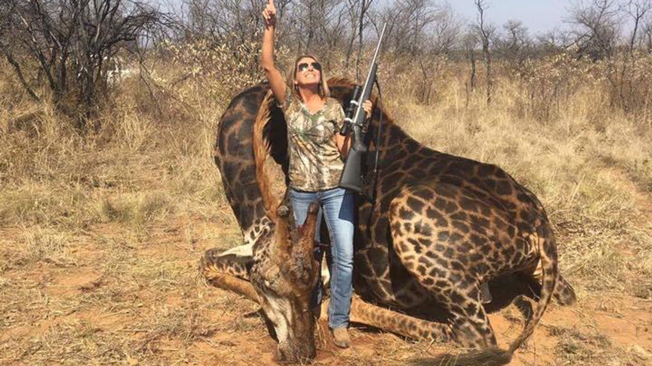 Hunter Grinning Next To Slaughtered Giraffe Spa...