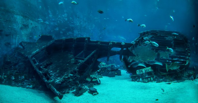 This Scientist May Have Solved The Mystery Of The Bermuda Triangle!