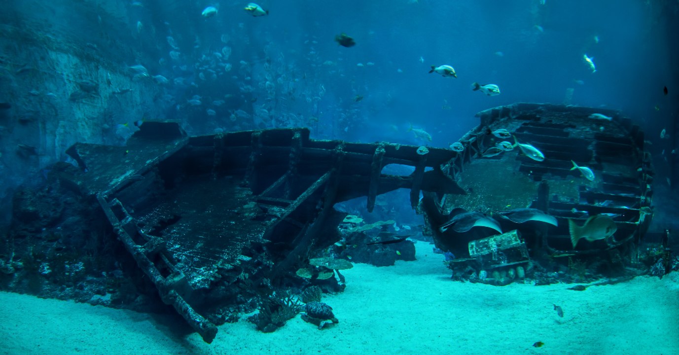 This Scientist May Have Solved The Mystery Of The Bermuda Triangle!