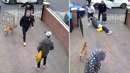 When He Saw His Mother Being Harassed, He Didn't Hesitate To Jump Into Action
