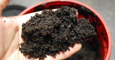 She Sprinkles This In Her Garden And All The Snails Vanish