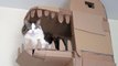 This Man Is So Obsessed With His Cat He Built It A Full-Blown Castle!