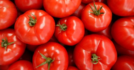 We Show You How To Grow Tomatoes Using Something Found In Every Kitchen