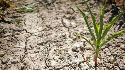 The UK Could Run Out Of Water In Just 25 Years