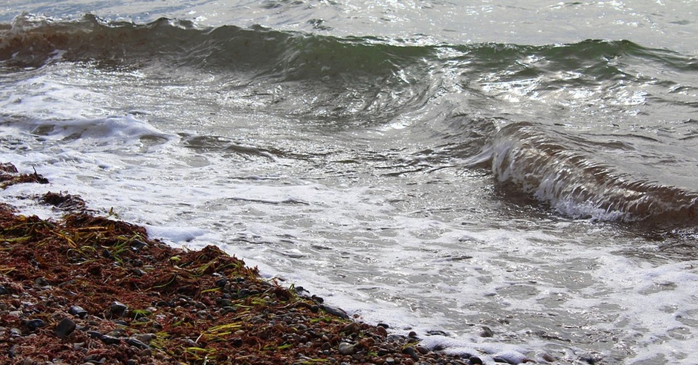 This Is What The Oceans Will Look Like Very Soon If Global Warming Continues