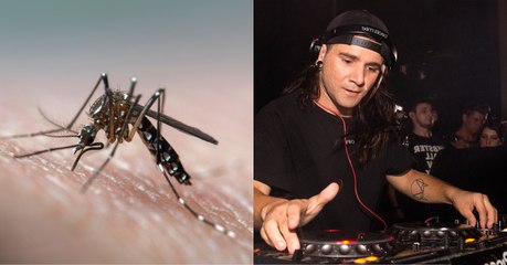 Listening To Music By This Artist Could Help Protect You From Mosquitoes This Summer
