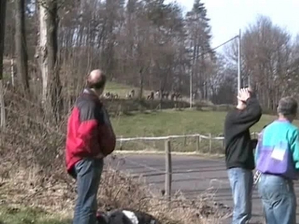 K_Desmaris_Sierra video-rallye.com