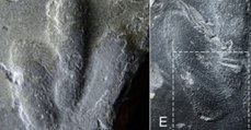 Uncovered Dinosaur Tracks Reveal What Their Skin Really Looked Like (VIDEO)