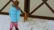 This Little Girl Followed Her Cat Into The Barn And What She Saw Inside Left Her Speechless