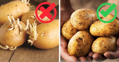 She Adds This Object With Her Potatoes And They Never Sprout Anymore