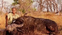 He's Killed Over 1,000 Elephants - Now He's Complaining That There Are None Left