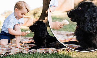 Discover Why People Are Accusing Prince George Of Animal Cruelty