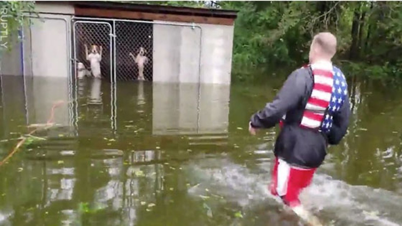 This Man Heroically Rescued 6 Dogs Who'd Been Abandoned In Hurricane Florence
