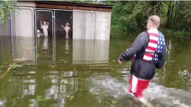 This Man Heroically Rescued 6 Dogs Who'd Been Abandoned In Hurricane Florence