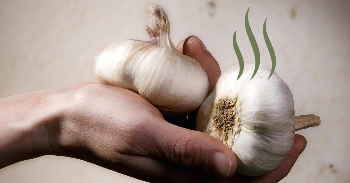 Are You Sick Of Your Hands Smelling Like Garlic Everytime? Here's A Tip For You!
