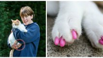 She Put Pink Plastic Nails On Her Cat's Claws... And Many People Aren't Happy