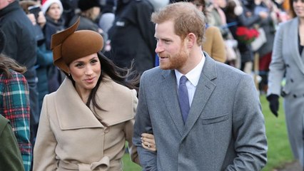 Why Meghan Markle And Prince Harry Travel In Economy Class
