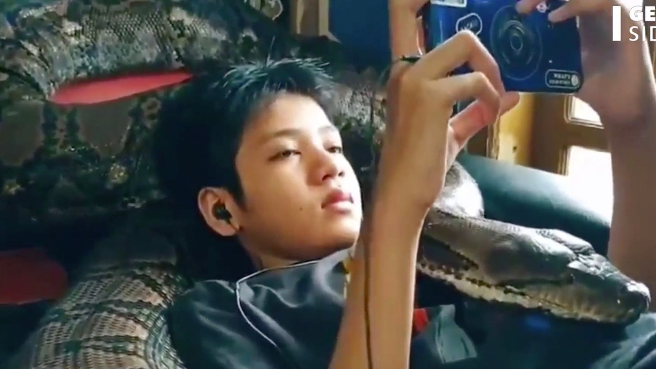 These Huge Snake Videos Have Been Taking the In...