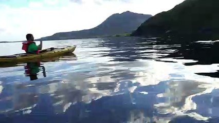 Whale Slaps Tail at Kayakers