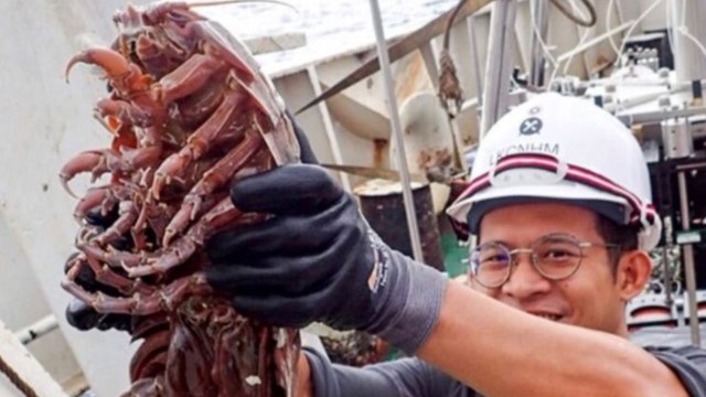 Scientists have discovered this absolutely terrifying giant ‘sea cockroach’