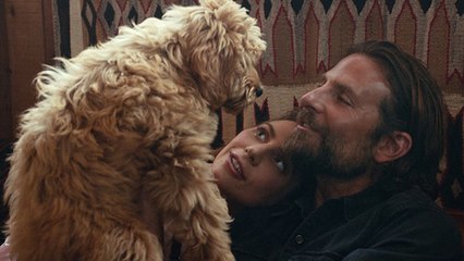 Bradley Cooper Will Soon Be Receiving An Award From PETA For A Very Special Reason