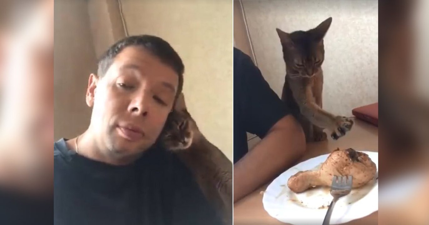 This Cat Clearly Still Loves Her Owner...But What Is She Really Up To?