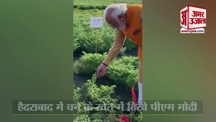 PM Modi Was Seen Enjoying The Taste Of Gram In Field In Hyderabad | चने के खेत में दिखे पीएम मोदी