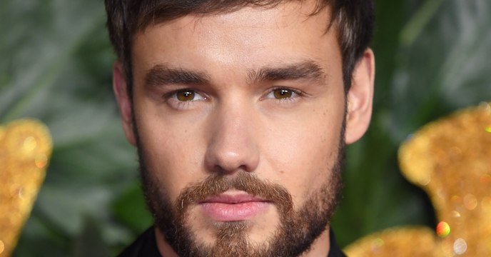 Liam Payne Bedded Love Island Winner Before Naomi Campbell Romance Was Revealed