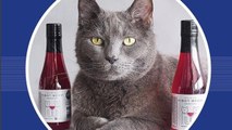 In Colorado, People Are Sharing Their Wine With Their Cats