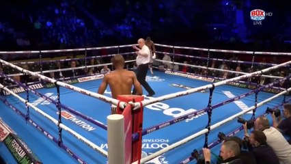 This is the fastest KO in boxing history—blink and you'll miss it