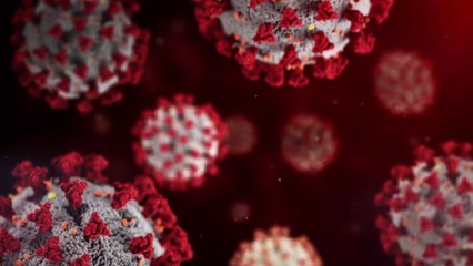 7 new coronavirus variants in the USA have scientists worried about their infectiousness