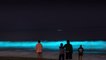 Strange fluorescent waves illuminate these beaches at night in California