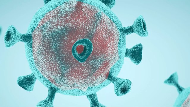 Study finds over 80% of hospitalised COVID patients left with brain damage