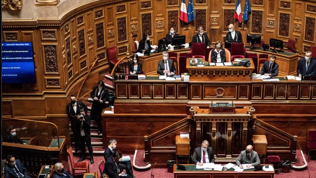 French Parliament sets the age of consent at 15 years