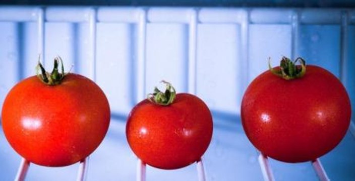 This Is Why You Should Never Put Your Tomatoes In The Fridge