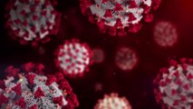 Italy is now the 5th country to report a case of new UK coronavirus strain